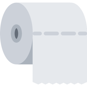 Toilet paper PNG
