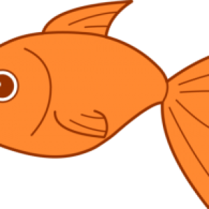 Goldfish PNG