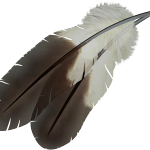 Feather PNG