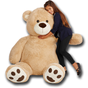 Teddy bear PNG