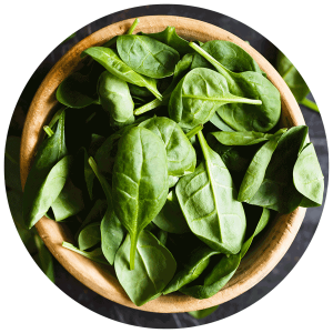Spinach PNG