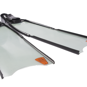 Flippers PNG