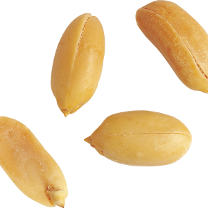 Peanut PNG