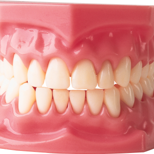 teeth png