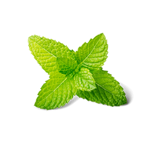 Pepermint PNG