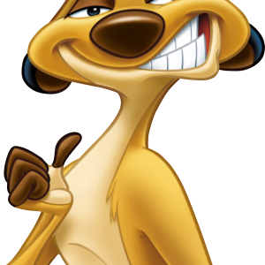 Timon PNG