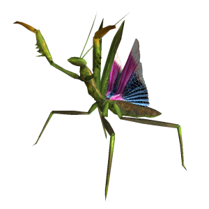 Mantis PNG