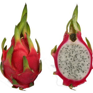 pitaya PNG