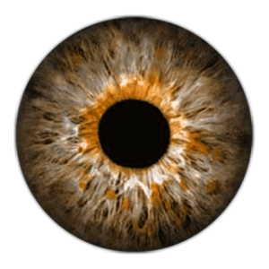 Eye PNG