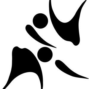 Aikido PNG