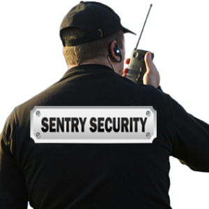 Guard, security PNG