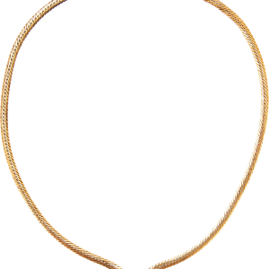 Necklace PNG