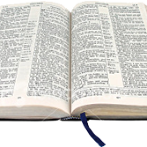 open bible PNG