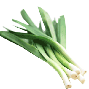 Leek PNG