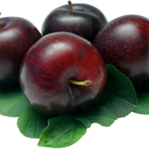 Plum PNG image