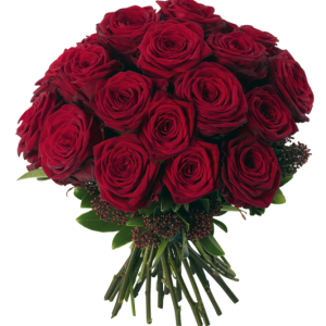 Rose PNG