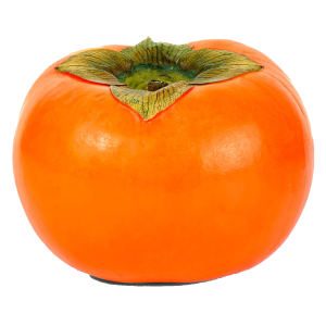 Persimmon PNG