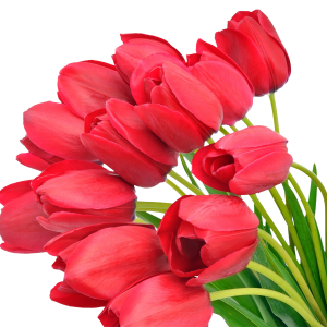 Bouquet flowers PNG