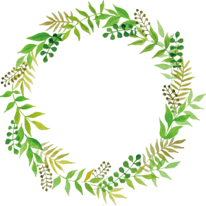 Floral frame PNG