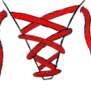 Shoelaces PNG