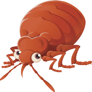 Bed bug PNG
