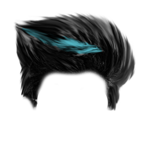 Hair wig PNG