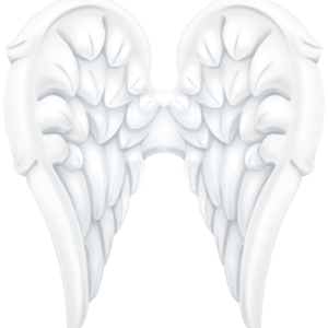 Wings PNG