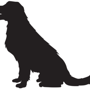 Dog PNG