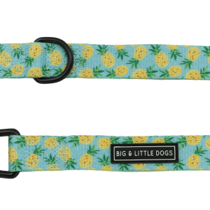 Leash PNG