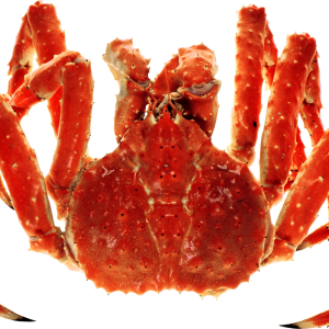 Crab PNG