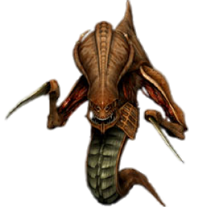 Starcraft zerg PNG