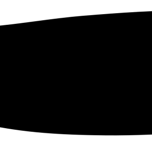 Whale PNG