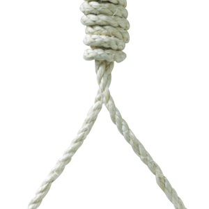 rope loop PNG