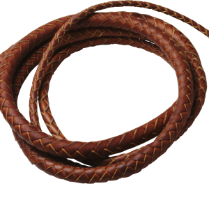 Whip PNG