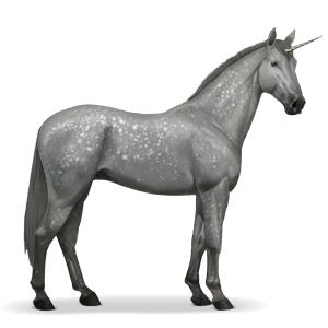 Unicorn PNG