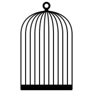 Cage bird PNG