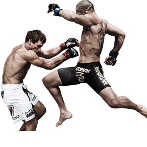 Mixed martial arts PNG, MMA PNG