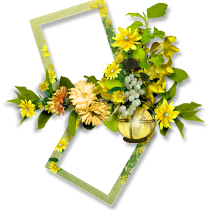 Floral frame PNG
