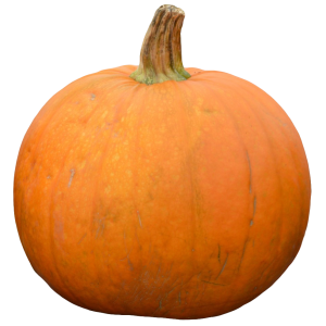 Pumpkin PNG