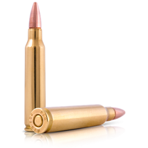 Bullets PNG image