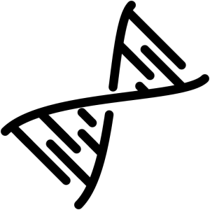 DNA PNG