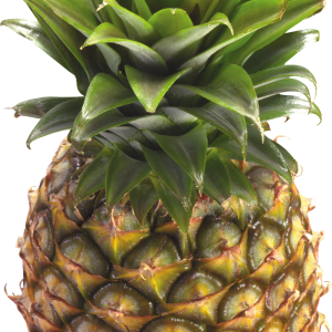 Pineapple PNG image, free download