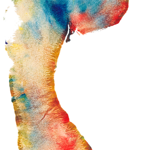 Footprints PNG