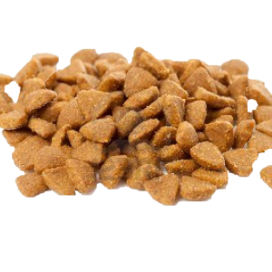 Dog food PNG