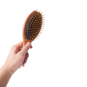 Hairbrush PNG