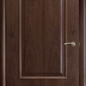 Wood door PNG