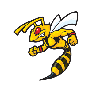 Wasp PNG