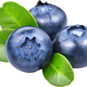 Blueberries PNG