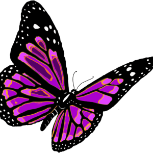 flying butterfly PNG image