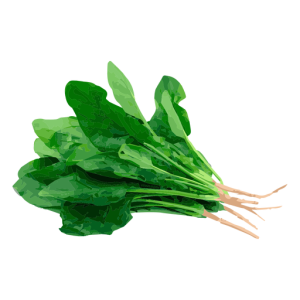 Spinach PNG